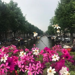 Meet your Posher, Sara